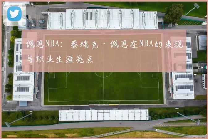 佩恩NBA：泰瑞克·佩恩在NBA的表现与职业生涯亮点