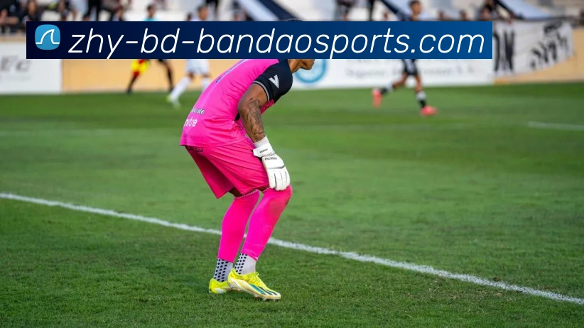 半岛体育发展历程