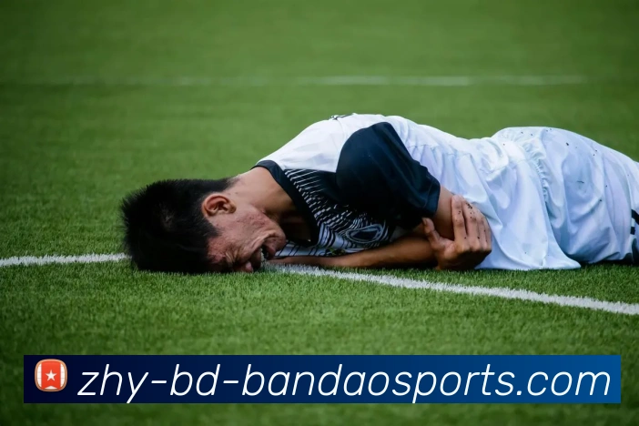 NBA国王队球员名单：盘点NBA国王队本赛季的球员阵容与变化