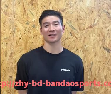 半岛体育-法甲球员最新转会信息汇总与市场动向追踪